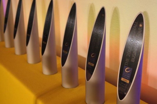 The Cornwall Business Awards